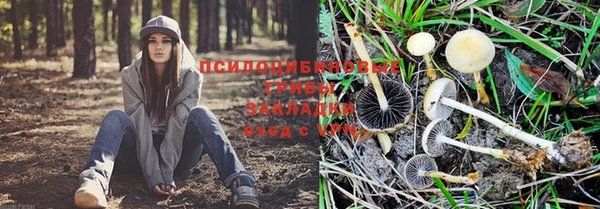 мескалин Абаза