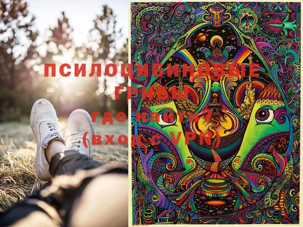 мескалин Абаза