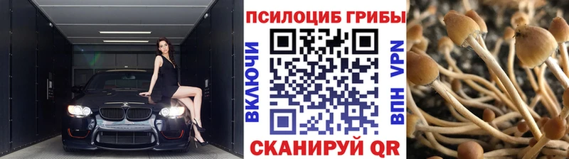Галлюциногенные грибы Magic Shrooms  hydra ссылки  Ильский 